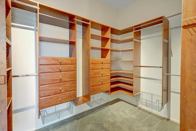 3522 Lancewood Way, Fallbrook, CA 92028 - view of spacious closet