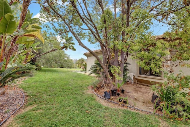 3522 Lancewood Way, Fallbrook, CA 92028 - view of green lawn
