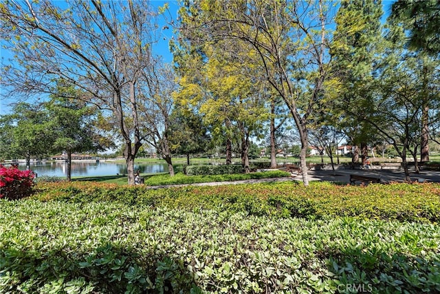 view of yard with a water view
