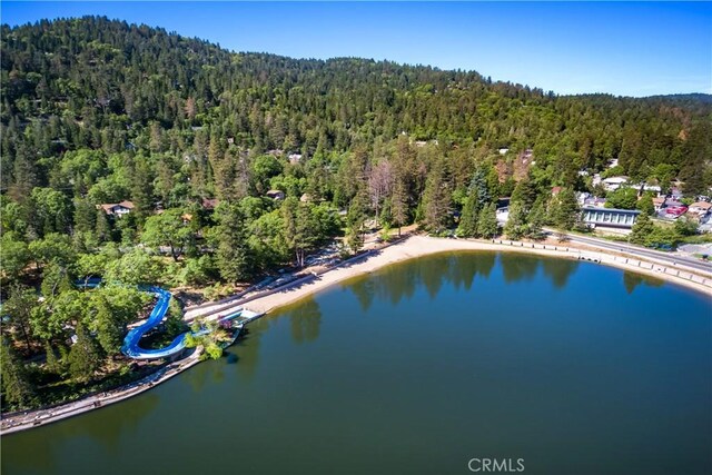 22384 Crest Forest Dr, Cedarpines Park, CA 92322 - aerial overview of property's location featuring a forest and a large body of water