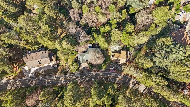 22384 Crest Forest Dr, Cedarpines Park, CA 92322 - bird's eye view
