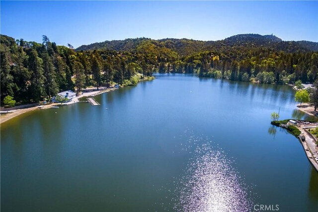 22384 Crest Forest Dr, Cedarpines Park, CA 92322 - water view featuring a forest