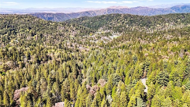 22384 Crest Forest Dr, Cedarpines Park, CA 92322 - view of mountain background with a forest