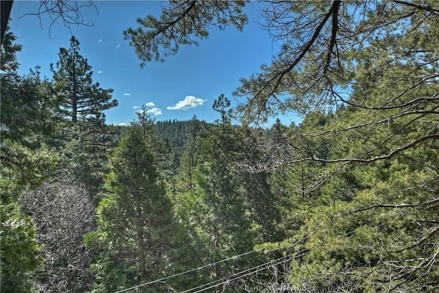 26638 Lake Forest Dr, Twin Peaks, CA 92391 - view of tree filled area