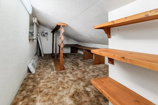 816 Caminito Azul, Carlsbad, CA 92011 - additional living space with lofted ceiling, carpet floors, a textured ceiling, and a textured wall