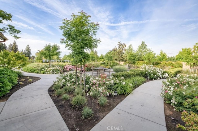 11996 E Santa Ana Ave, Clovis, CA 93619 - photo 74