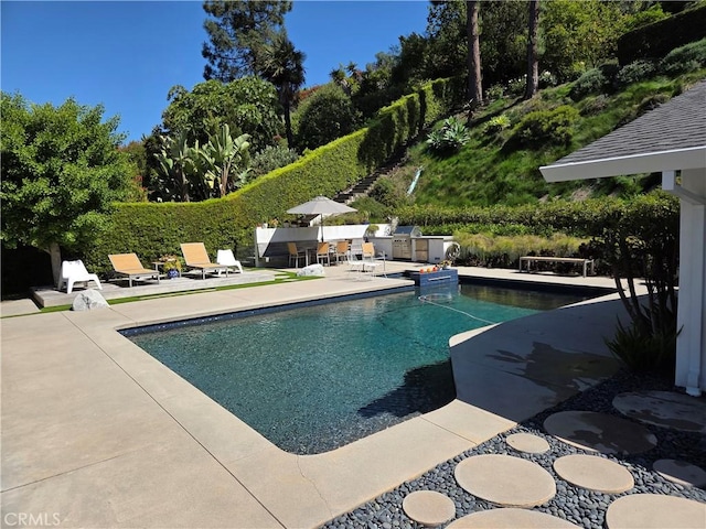 28715 Crestridge Rd, Rancho Palos Verdes, CA 90275 - view of swimming pool featuring a patio area, view of wooded area, and exterior kitchen