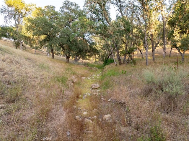 5145 Northfork Pl, Paso Robles, CA 93446 - view of nature