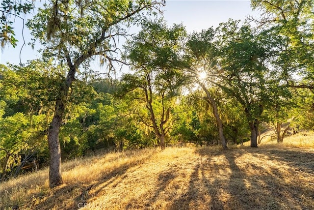 5145 Northfork Pl, Paso Robles, CA 93446 - view of woods