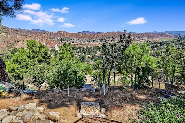 13910 Mountain View Pl, Sylmar, CA 91342 - photo 55