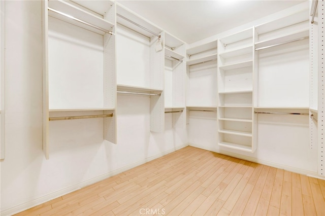 2117 Brittany Park Rd, Camarillo, CA 93012 - walk in closet with light wood-type flooring