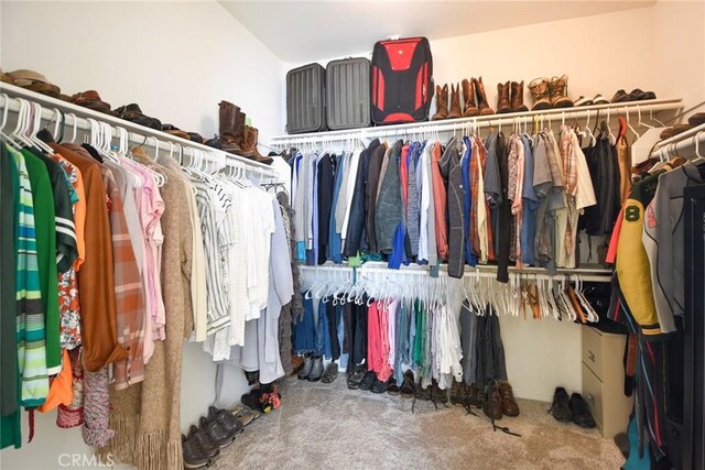 walk in closet with carpet floors