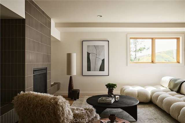 living area featuring baseboards and wood finished floors