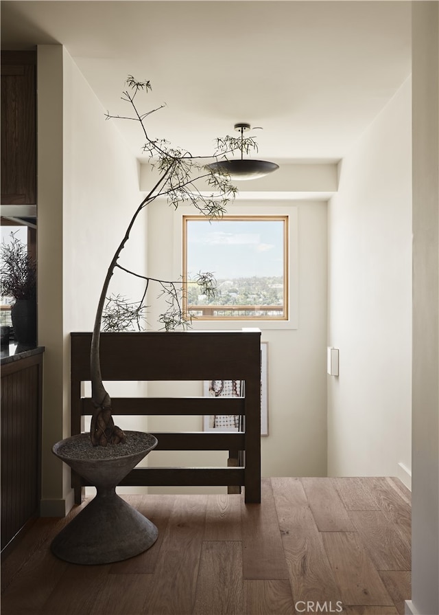 entryway featuring wood finished floors