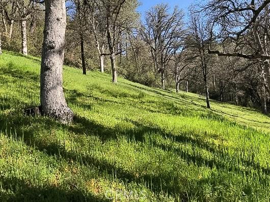 4743 Buffalo Gulch Rd, Midpines, CA 95345