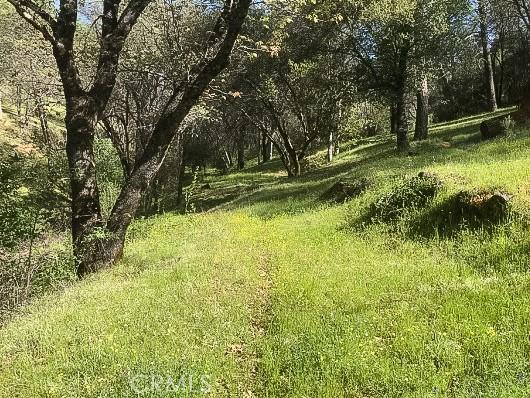 4743 Buffalo Gulch Rd, Midpines, CA 95345