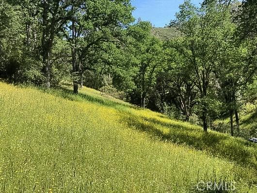 4743 Buffalo Gulch Rd, Midpines, CA 95345
