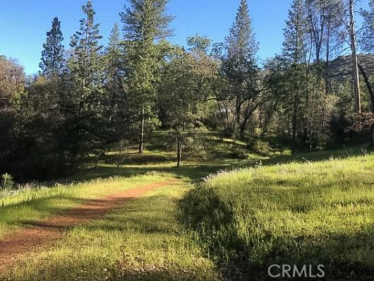 4743 Buffalo Gulch Rd, Midpines, CA 95345