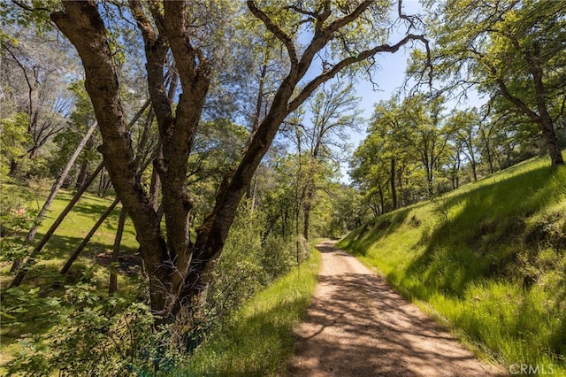 4743 Buffalo Gulch Rd, Midpines, CA 95345