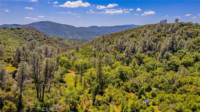 4743 Buffalo Gulch Rd, Midpines, CA 95345