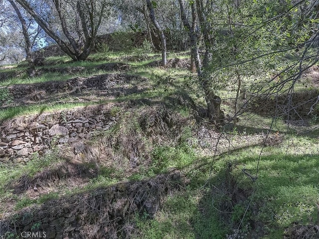 4743 Buffalo Gulch Rd, Midpines, CA 95345