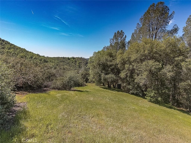 4743 Buffalo Gulch Rd, Midpines, CA 95345