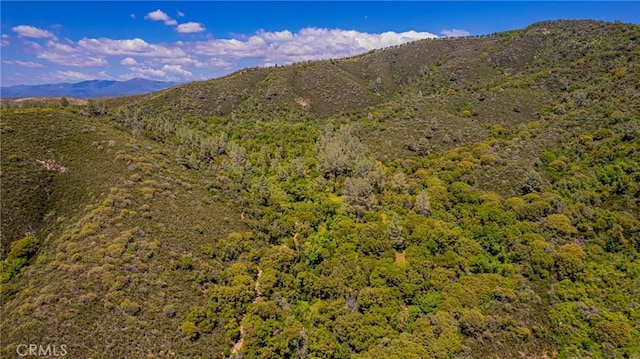 4743 Buffalo Gulch Rd, Midpines, CA 95345