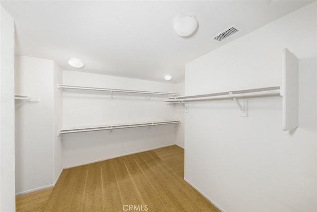 spacious closet with carpet