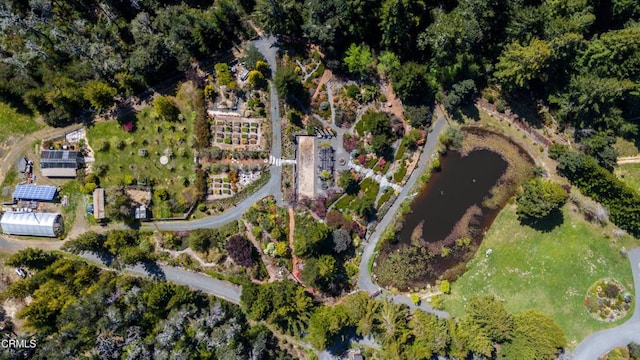 40811 Eureka Hill Rd, Point Arena, CA 95468 - photo 74