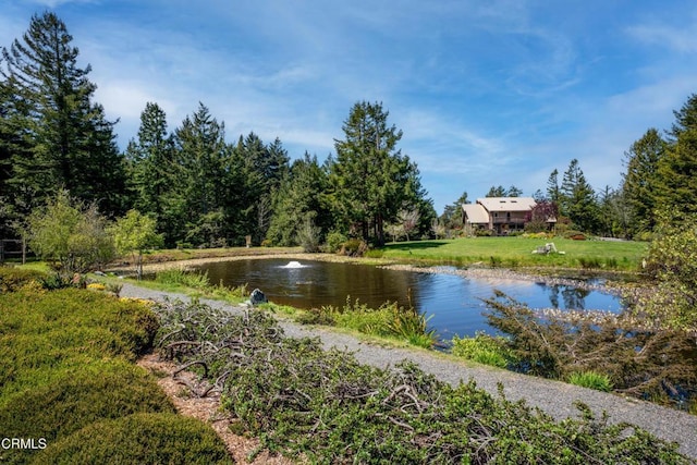 40811 Eureka Hill Rd, Point Arena, CA 95468 - photo 64