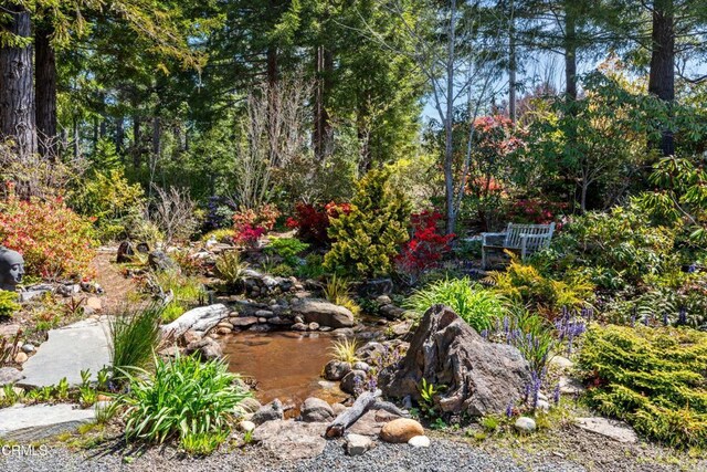 40811 Eureka Hill Rd, Point Arena, CA 95468 - photo 62