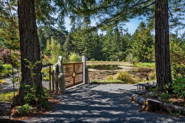 40811 Eureka Hill Rd, Point Arena, CA 95468 - photo 29