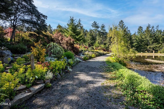 40811 Eureka Hill Rd, Point Arena, CA 95468 - photo 26