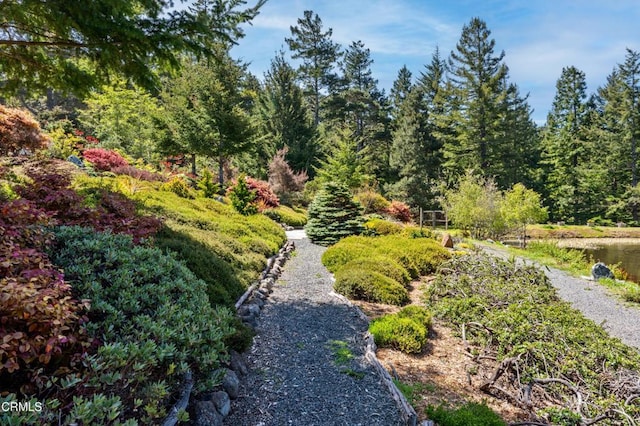 40811 Eureka Hill Rd, Point Arena, CA 95468 - photo 63