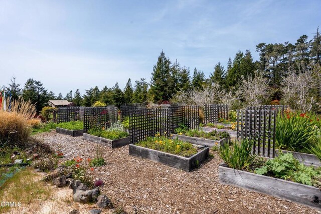 40811 Eureka Hill Rd, Point Arena, CA 95468 - photo 66
