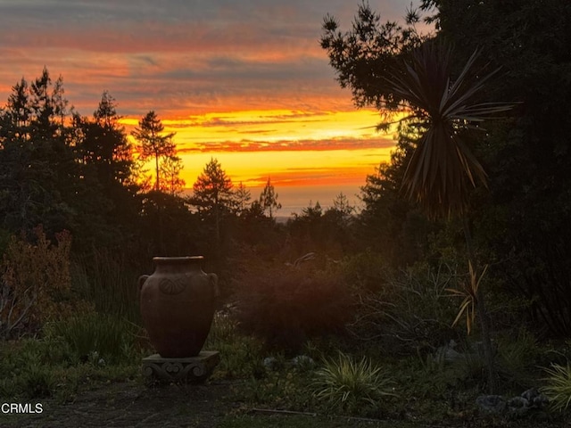 40811 Eureka Hill Rd, Point Arena, CA 95468 - photo 31