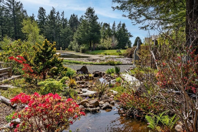 40811 Eureka Hill Rd, Point Arena, CA 95468 - photo 67