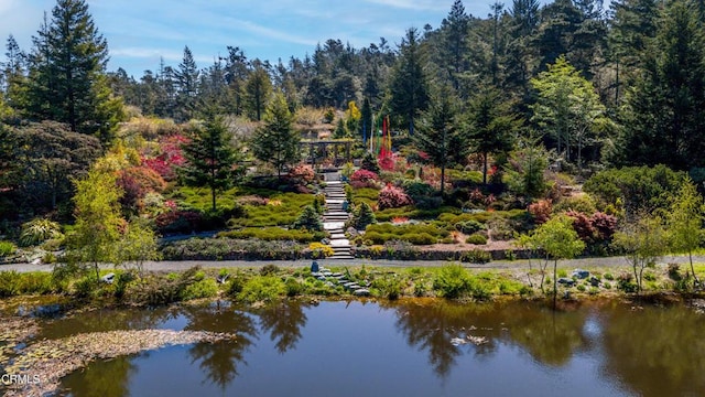 40811 Eureka Hill Rd, Point Arena, CA 95468 - photo 2