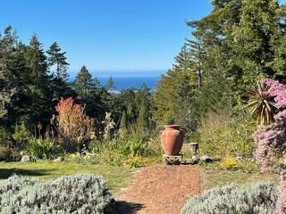 40811 Eureka Hill Rd, Point Arena, CA 95468 - photo 12
