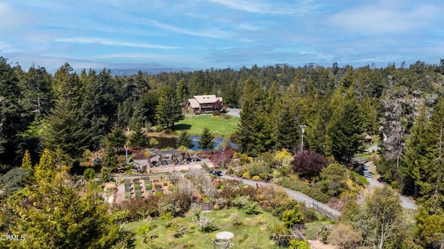 40811 Eureka Hill Rd, Point Arena, CA 95468 - photo 73