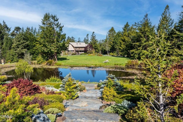 40811 Eureka Hill Rd, Point Arena, CA 95468 - photo 24