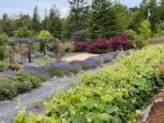 40811 Eureka Hill Rd, Point Arena, CA 95468 - photo 71