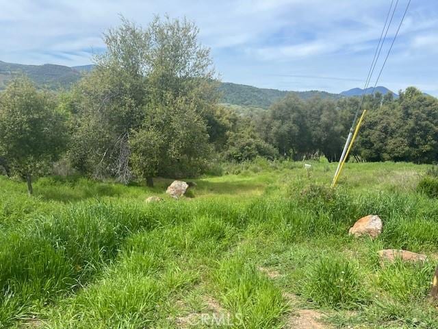 15578 19th Ave, Clearlake CA, 95422 land for sale