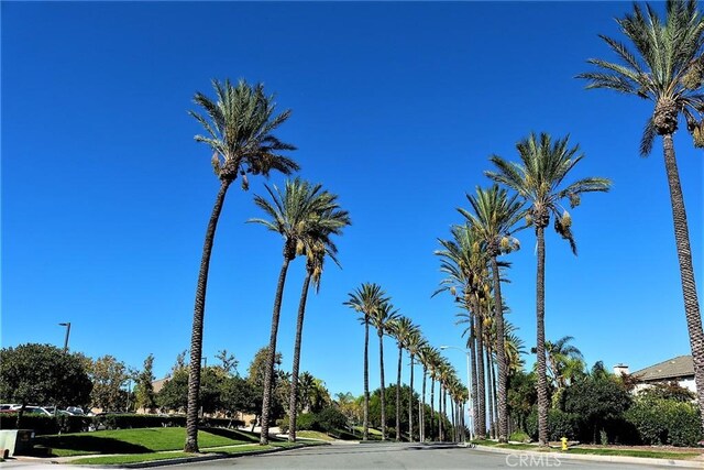 view of asphalt road with curbs, sidewalks, and street lighting
