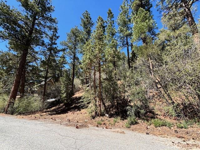 0 E Rainbow Blvd, Big Bear City, CA 92314 - photo 4