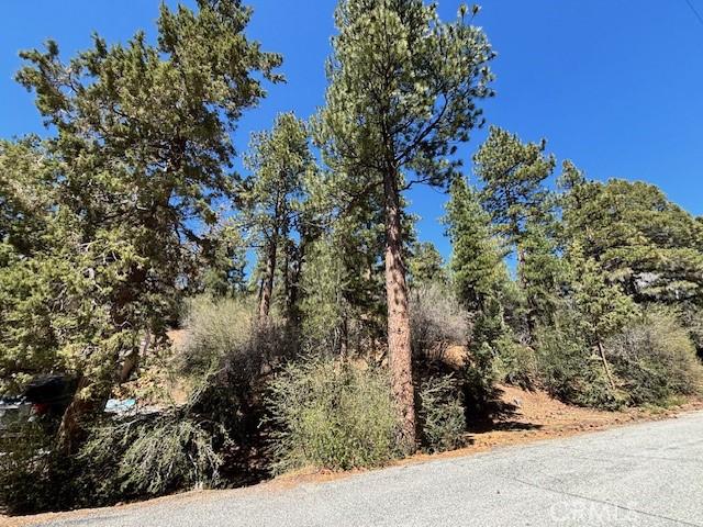 0 E Rainbow Blvd, Big Bear City, CA 92314 - photo 2