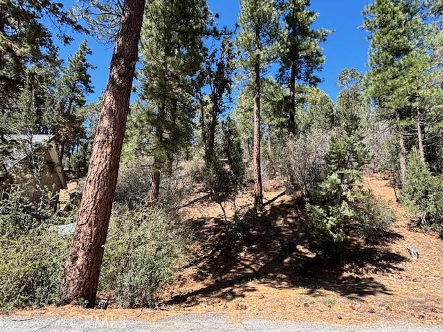 0 E Rainbow Blvd, Big Bear City, CA 92314 - photo 5