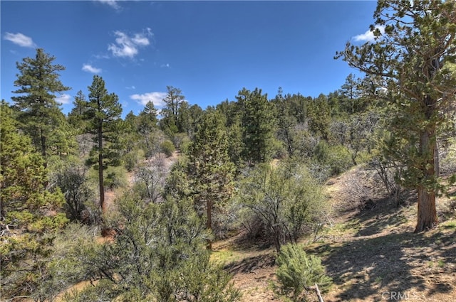 525 S Marlowe Dr, Big Bear City, CA 92314 - photo 36