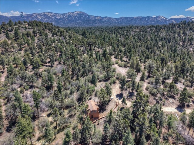 525 S Marlowe Dr, Big Bear City, CA 92314 - photo 43
