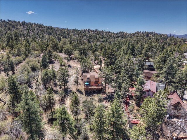 525 S Marlowe Dr, Big Bear City, CA 92314 - photo 40